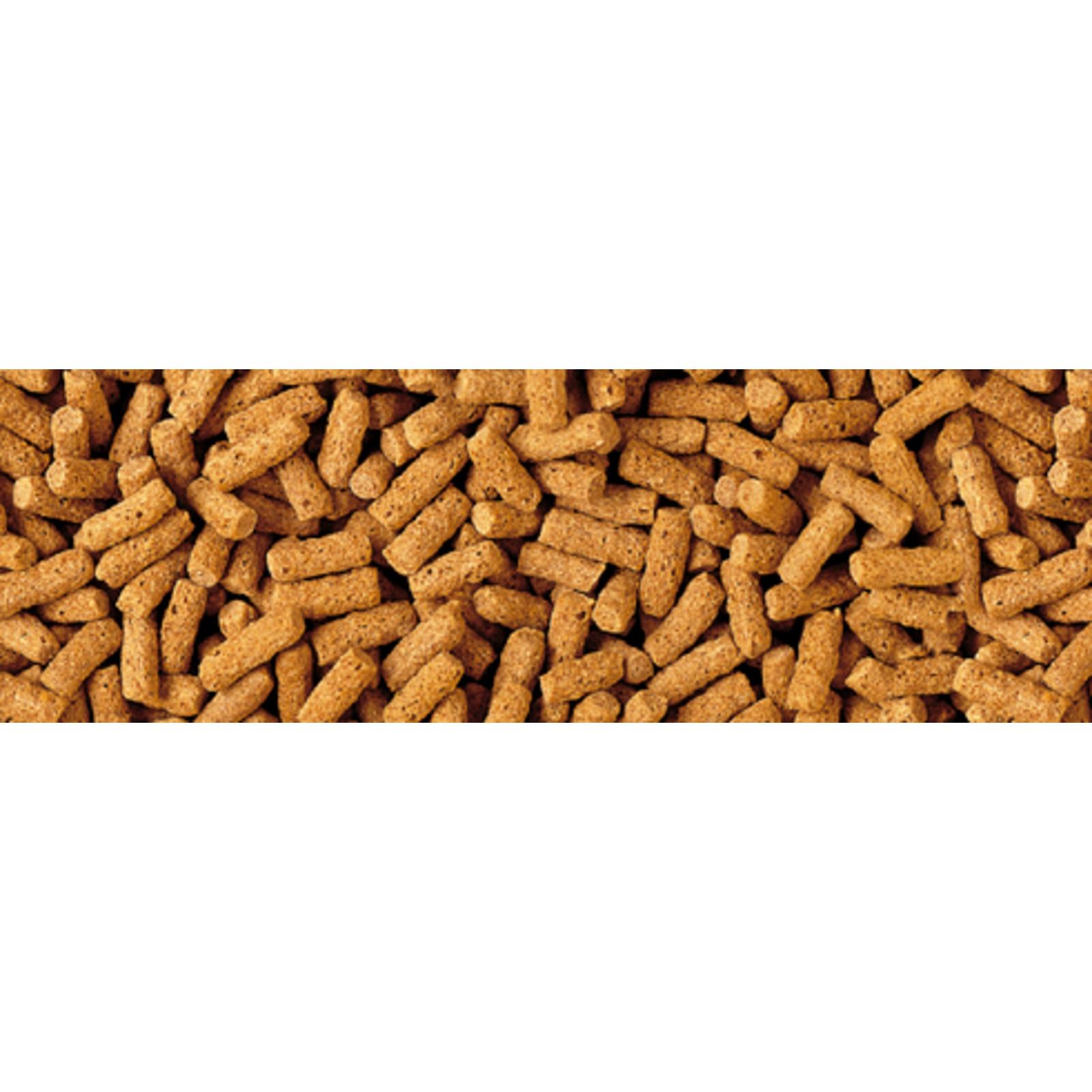 product/t/e/tetra_396211_1.jpg