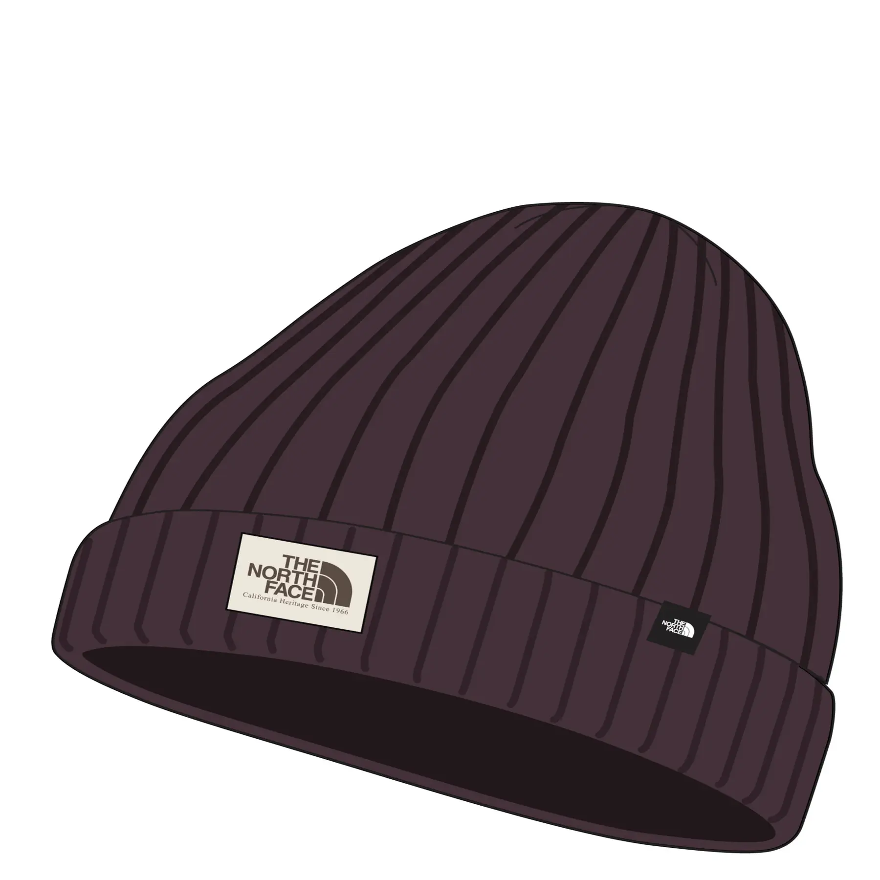 Cap The North Face Logo Box