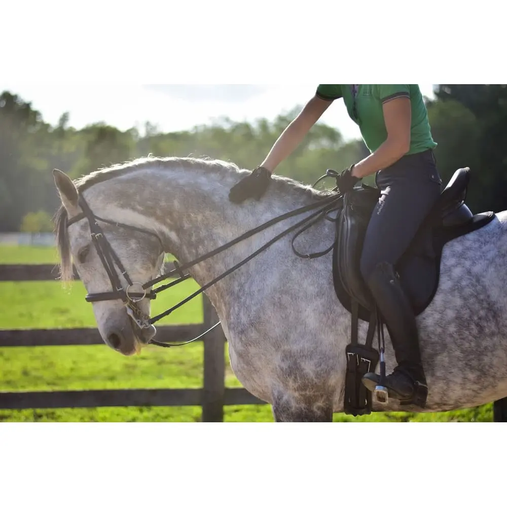 Thinline Marron Dressage Saddle Pad For Horses