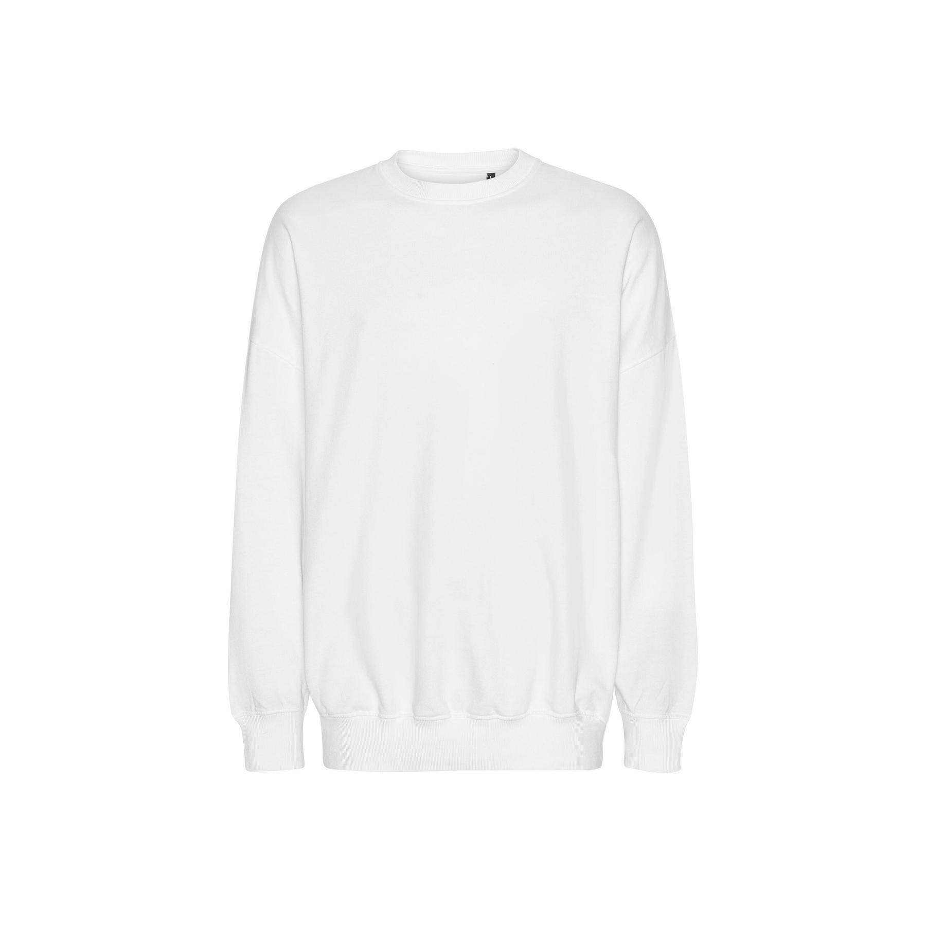 5712762128971 - Oversize-Sweatshirt Tiger