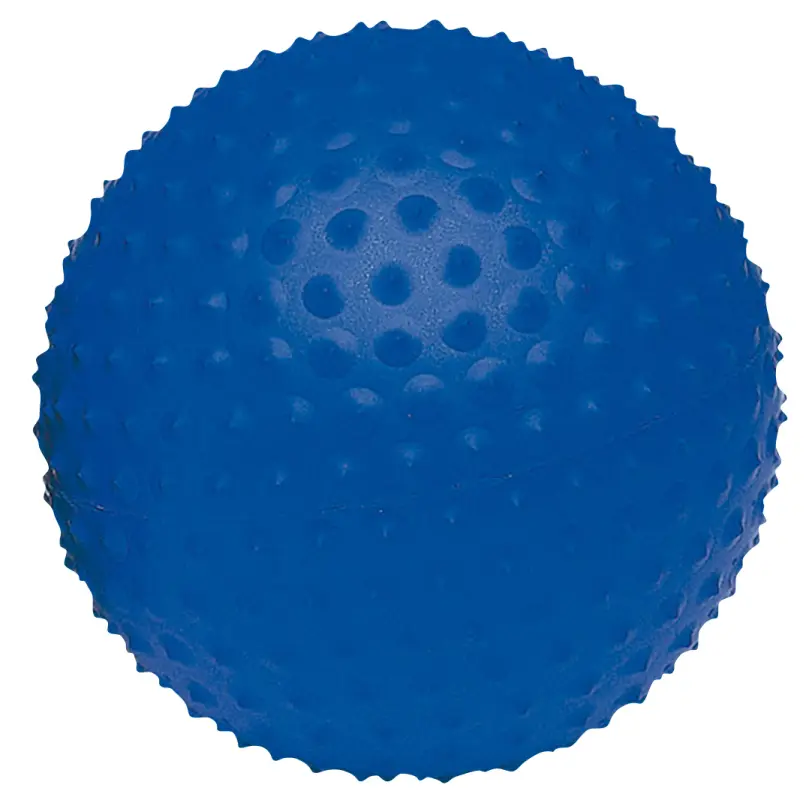 Togu Unisex Bleu Pilates Ball Senso