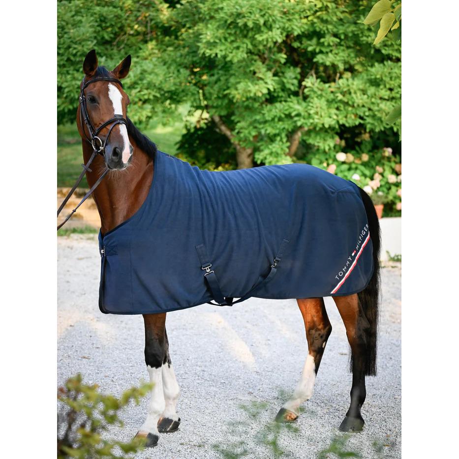 product/t/o/tommy-hilfiger-equestrian_th16hrug103-004_desert-sky_5.jpg