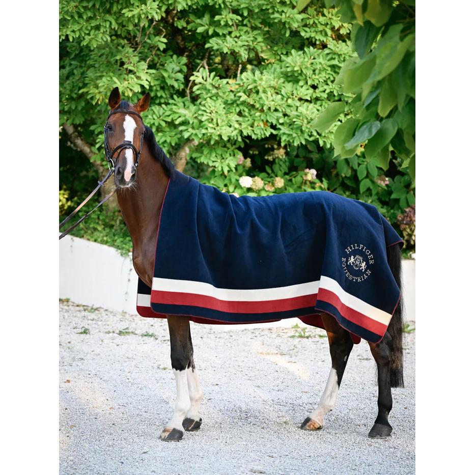 product/t/o/tommy-hilfiger-equestrian_th16hrug945-045_multi_5.jpg