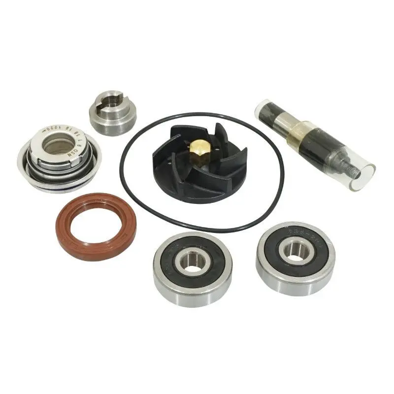 Reparatur-Set Top Performances Piaggio 250-300 MP3-vespa