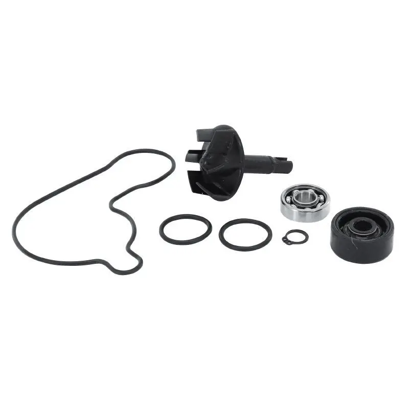 Reparatur-Set Top Performances Yamaha 300 Xmax 2017+