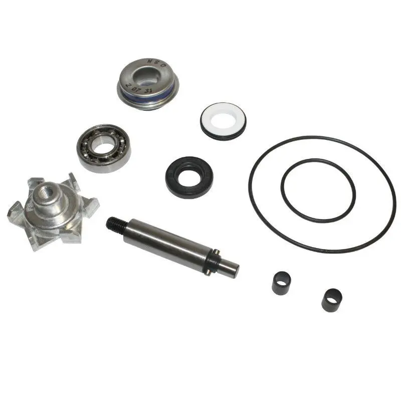Reparatur-Set Top Performances Honda 125 Pcx 2010+ R.O. 19200-KWN-900
