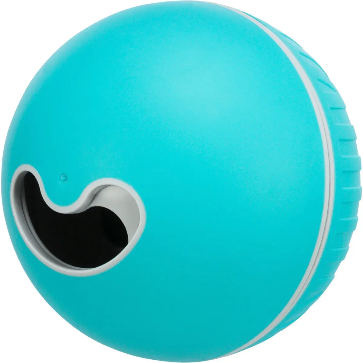 Trixie Bleu Plastic Dog Ball