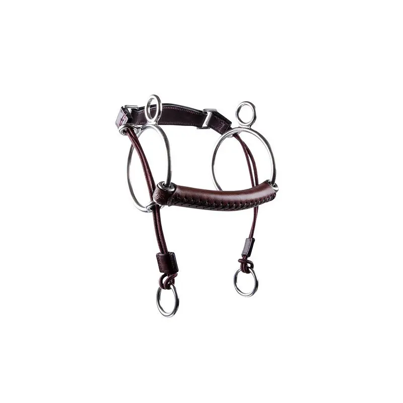 Mors combiné pour cheval Trust Curbgag