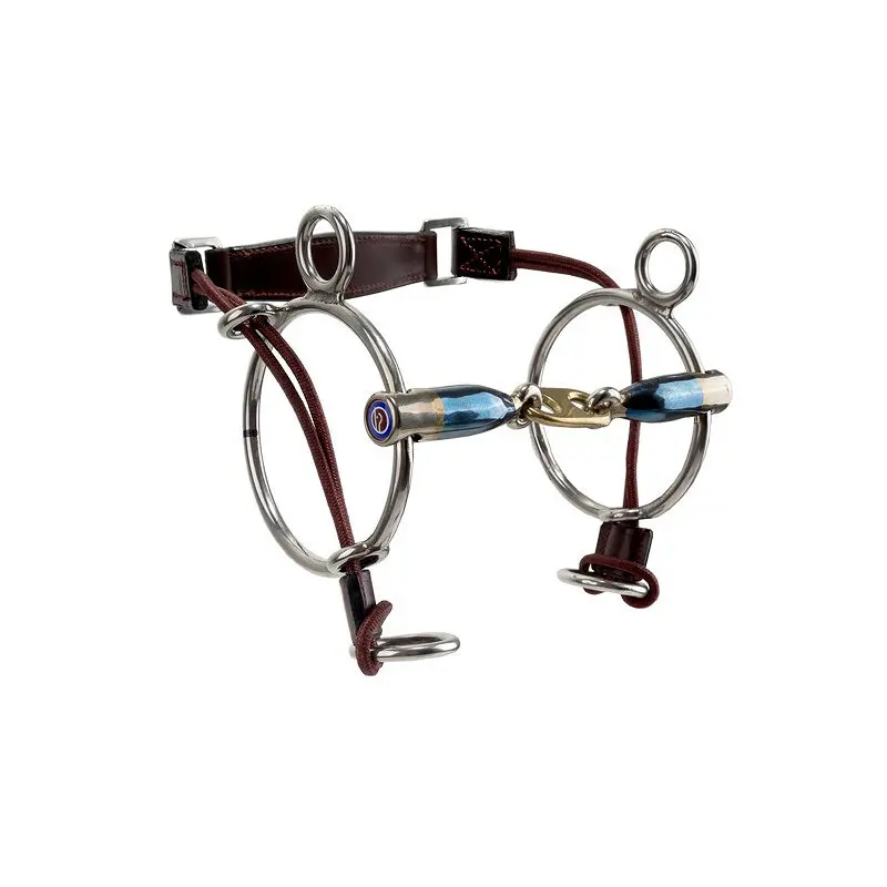 Mors combiné pour cheval Trust Sweet Iron Curbgag Dr.Bristol 16