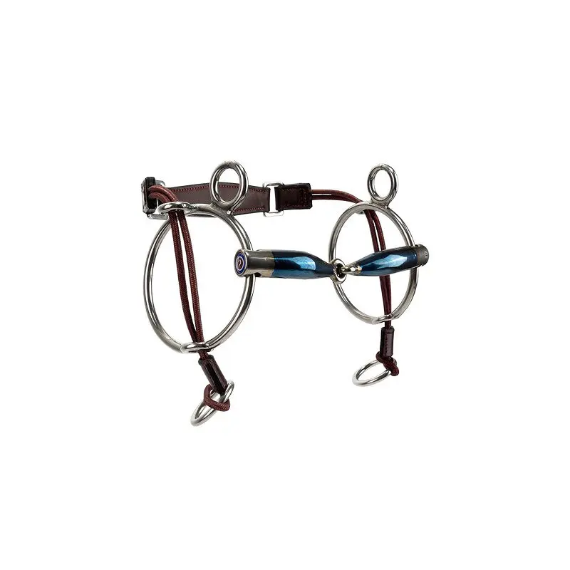 Mors combiné pour cheval Trust Sweet Iron Curbgag Locked 16