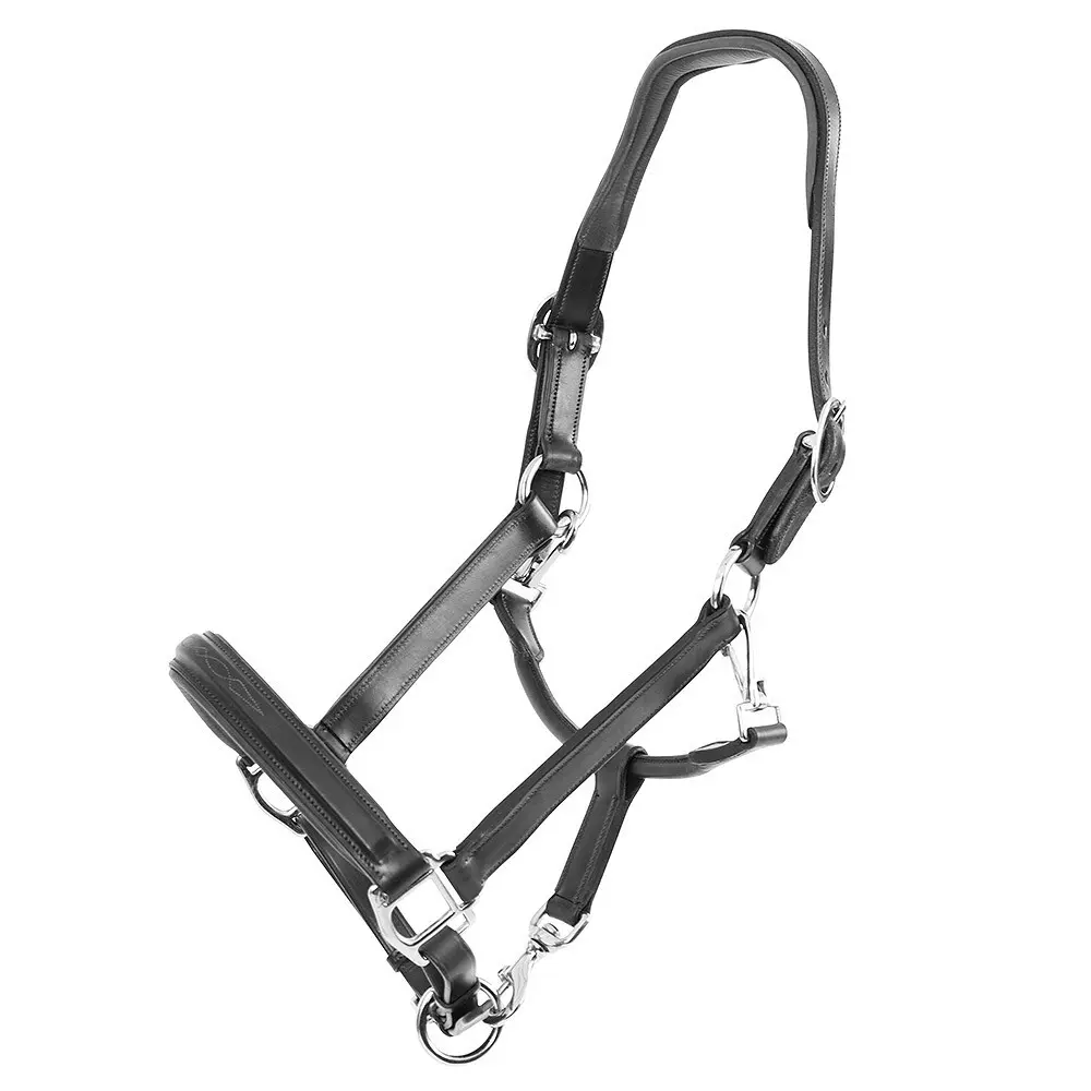Licol pour cheval en cuir Trust San Miguel