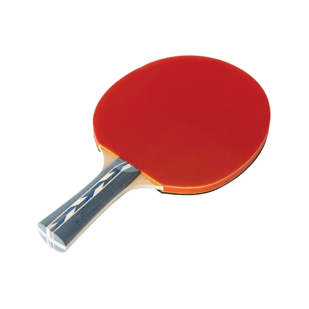 Tischtennis-Schlägertraining Tremblay
