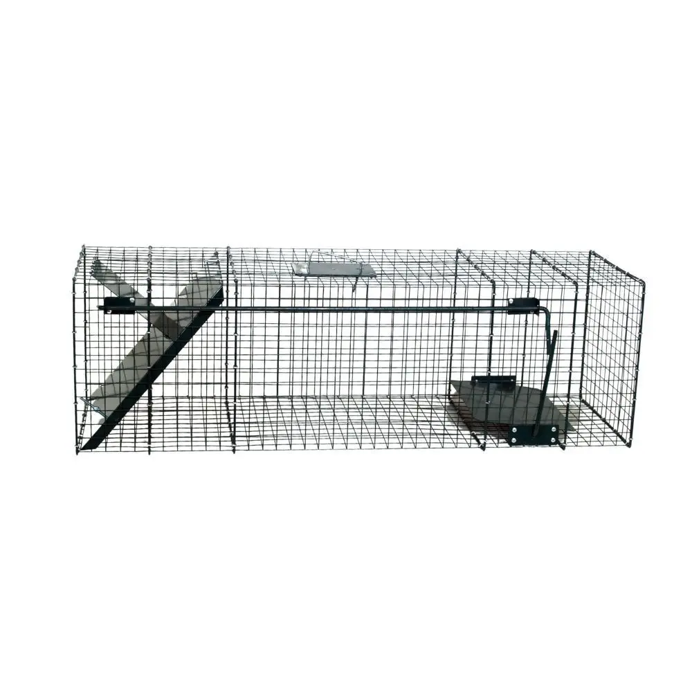 Pièges pour ratons laveurs 1 entré Ukal Boxtrap