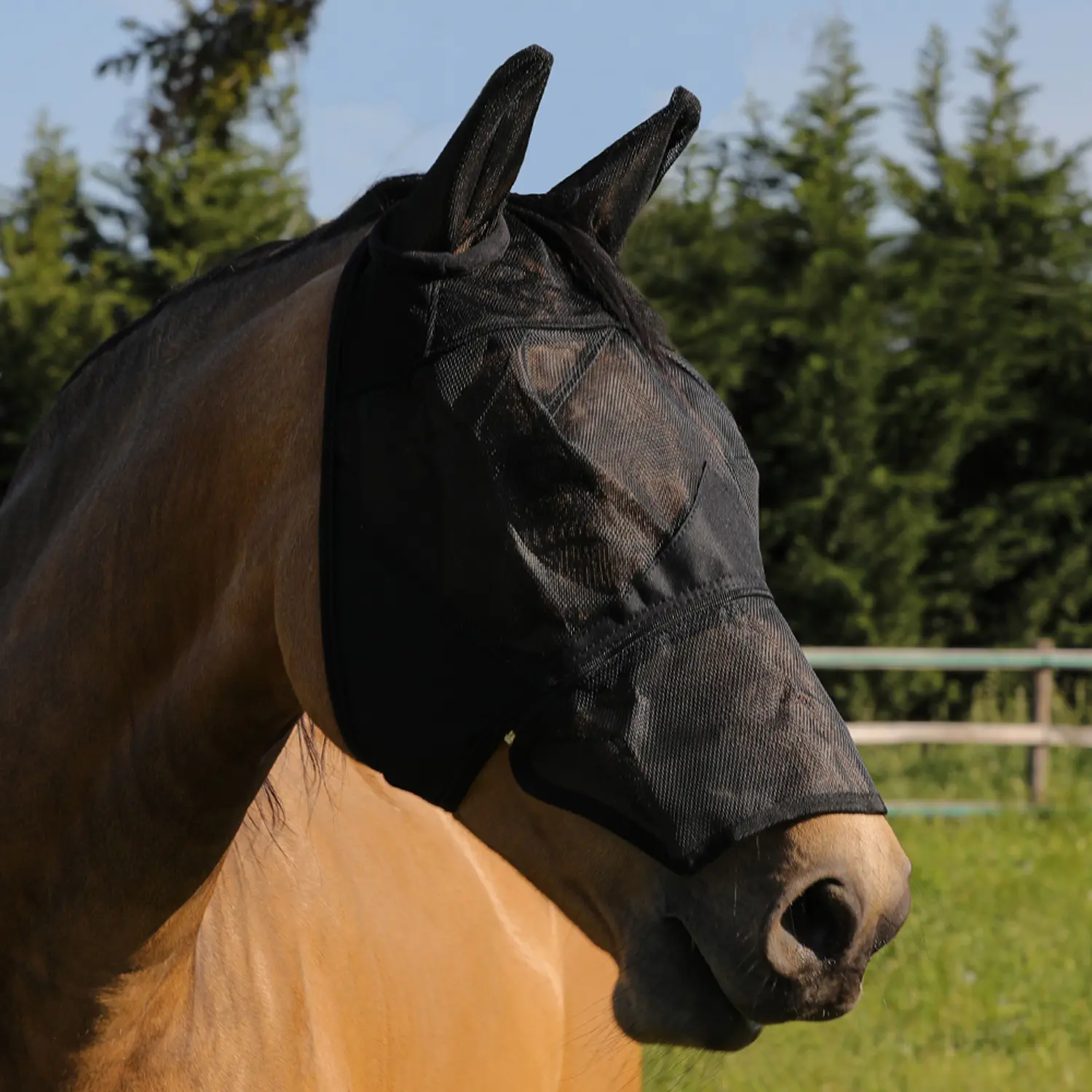 PVC-Fliegenhaube für Pferde mit Ohrenschutz und Reißverschluss Umbria Equitazione