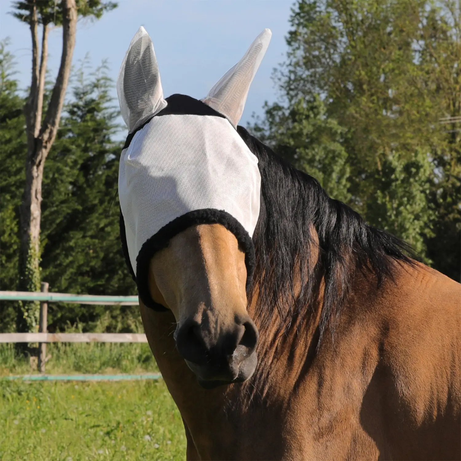 Meilleurs prix pour Bonnet anti-mouches pour cheval en pvc avec couvre-oreilles et fermeture velcro Umbria Equitazione