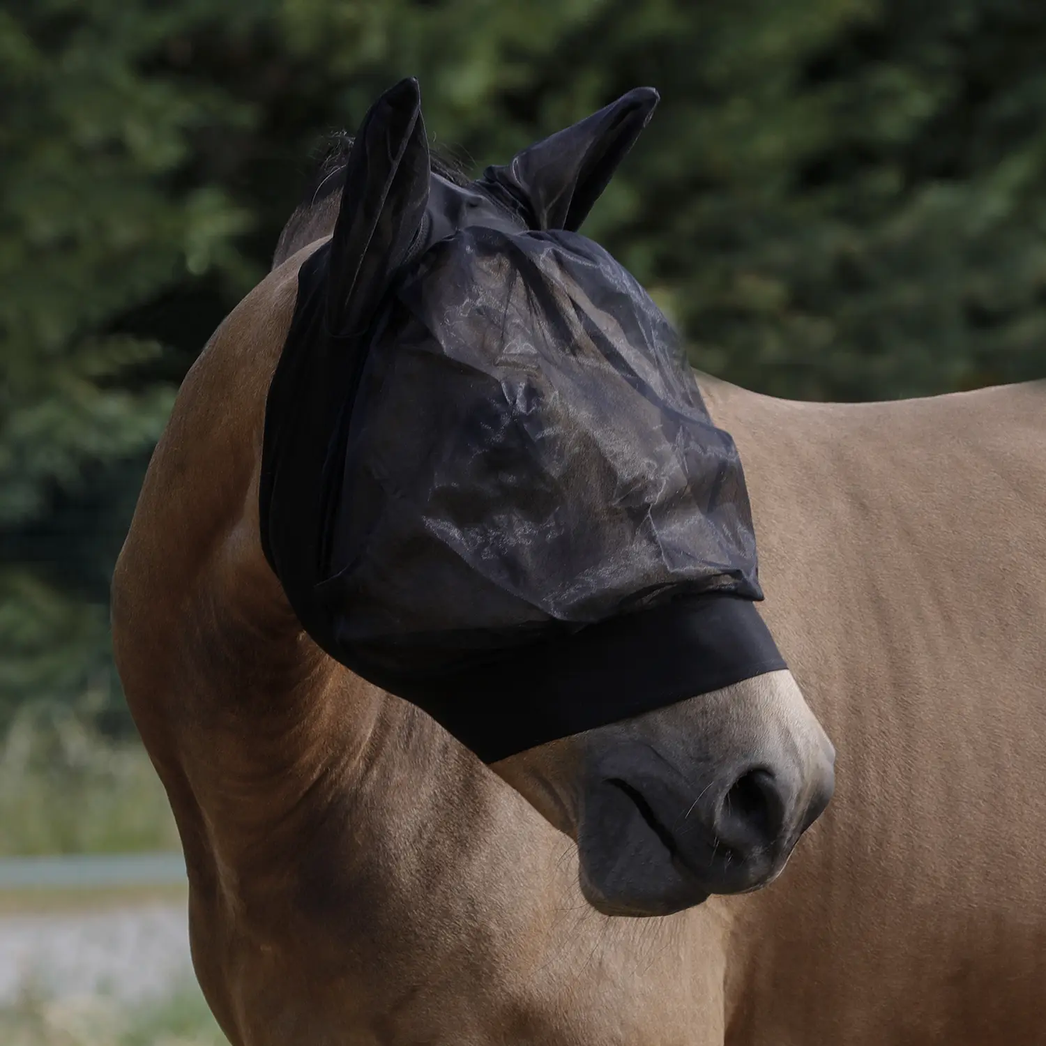 Comparer les prix de Bonnet anti-mouches extensible pour cheval Umbria Equitazione