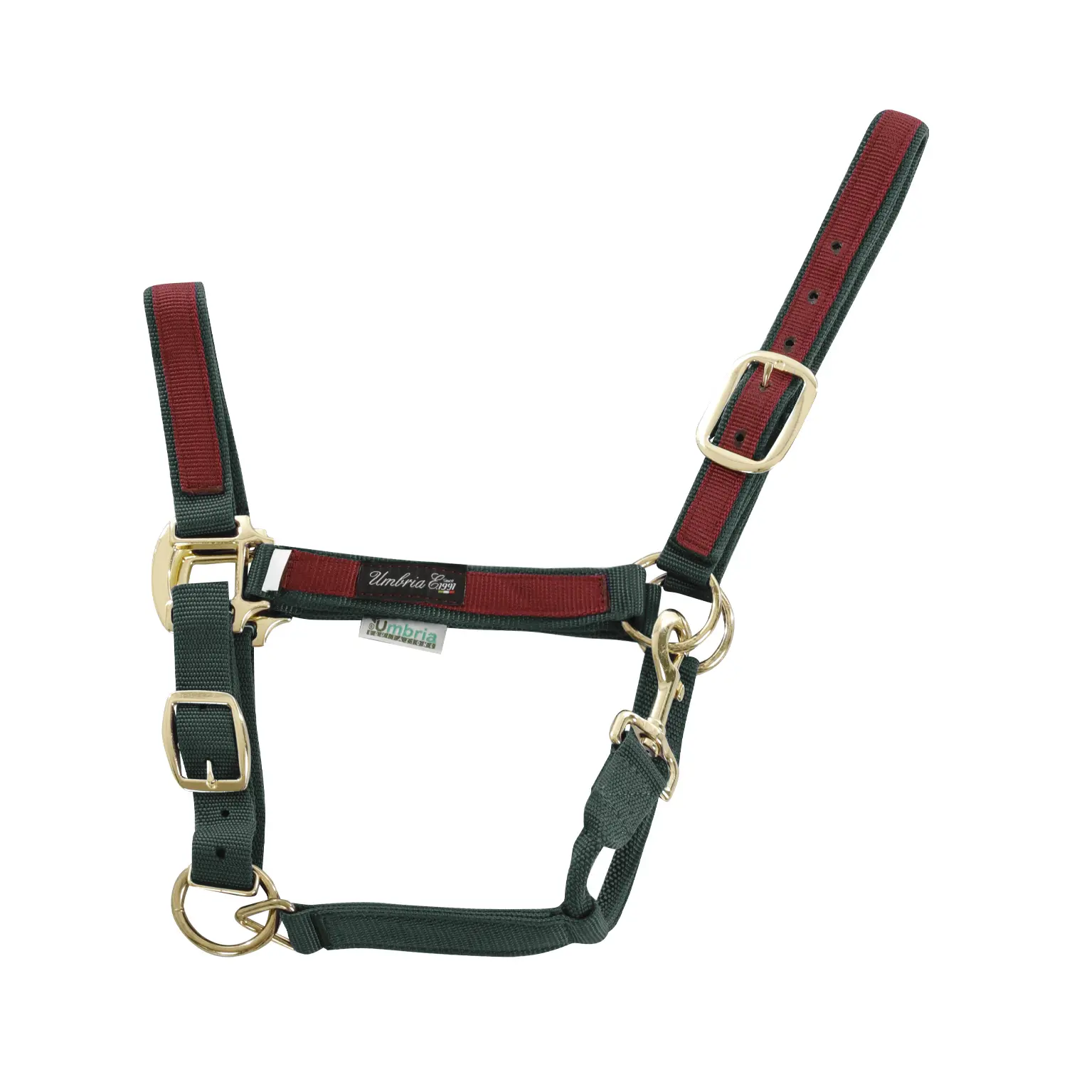 Umbria Equitazione Vert Coloured Nylon Horse Halter