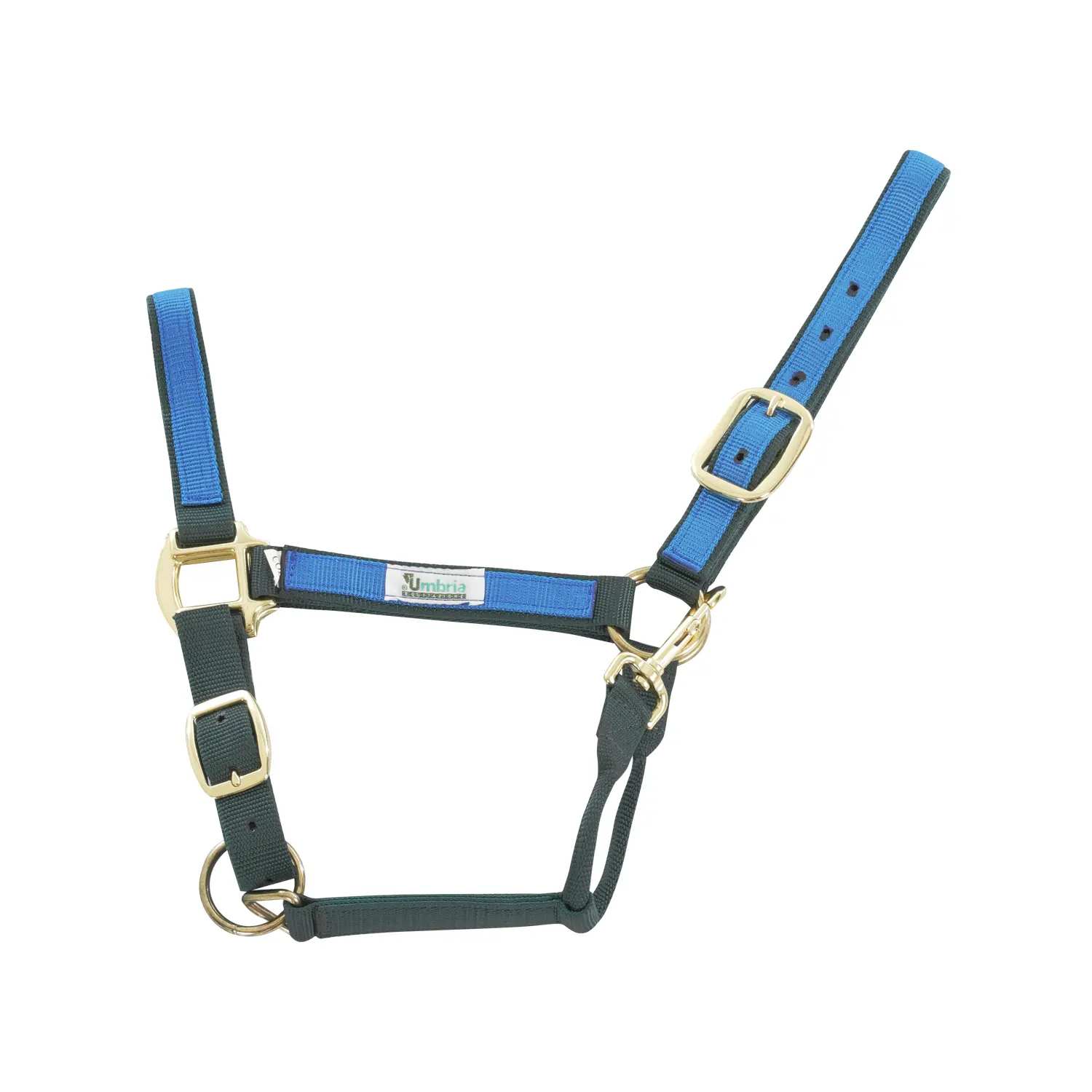 Umbria Equitazione Vert Coloured Nylon Horse Halter