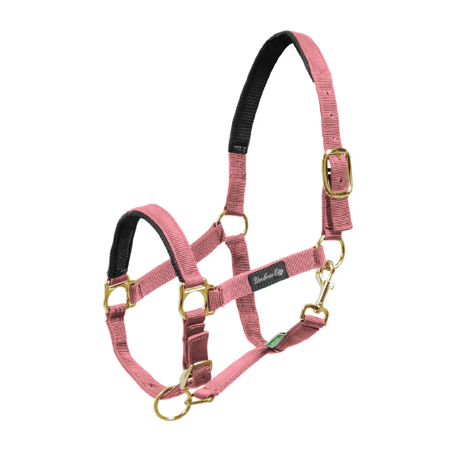 Umbria Equitazione Rose Nylon Horse Halter With Neoprene Reinforced Padding