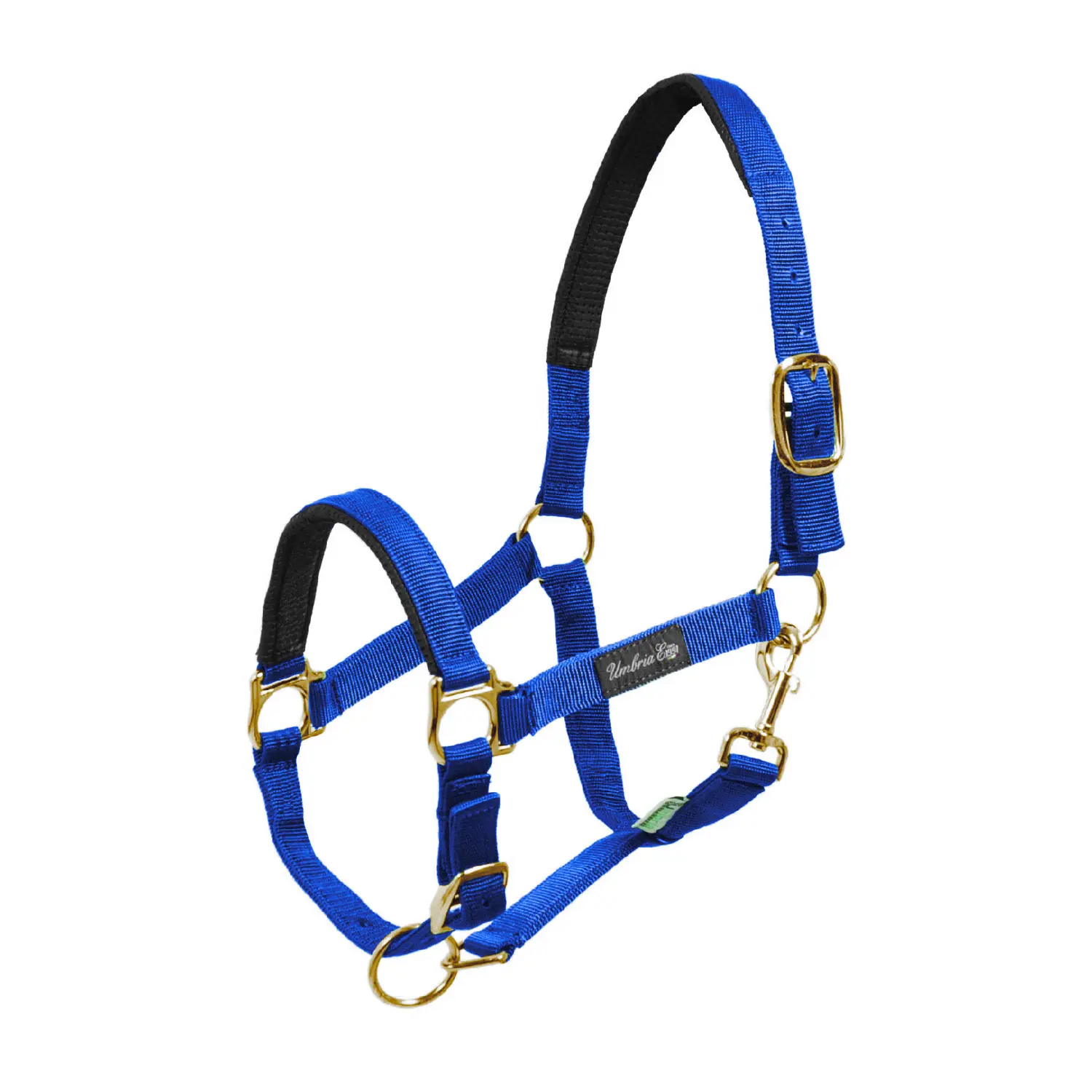 Umbria Equitazione Bleu Nylon Horse Halter With Neoprene Reinforced Padding