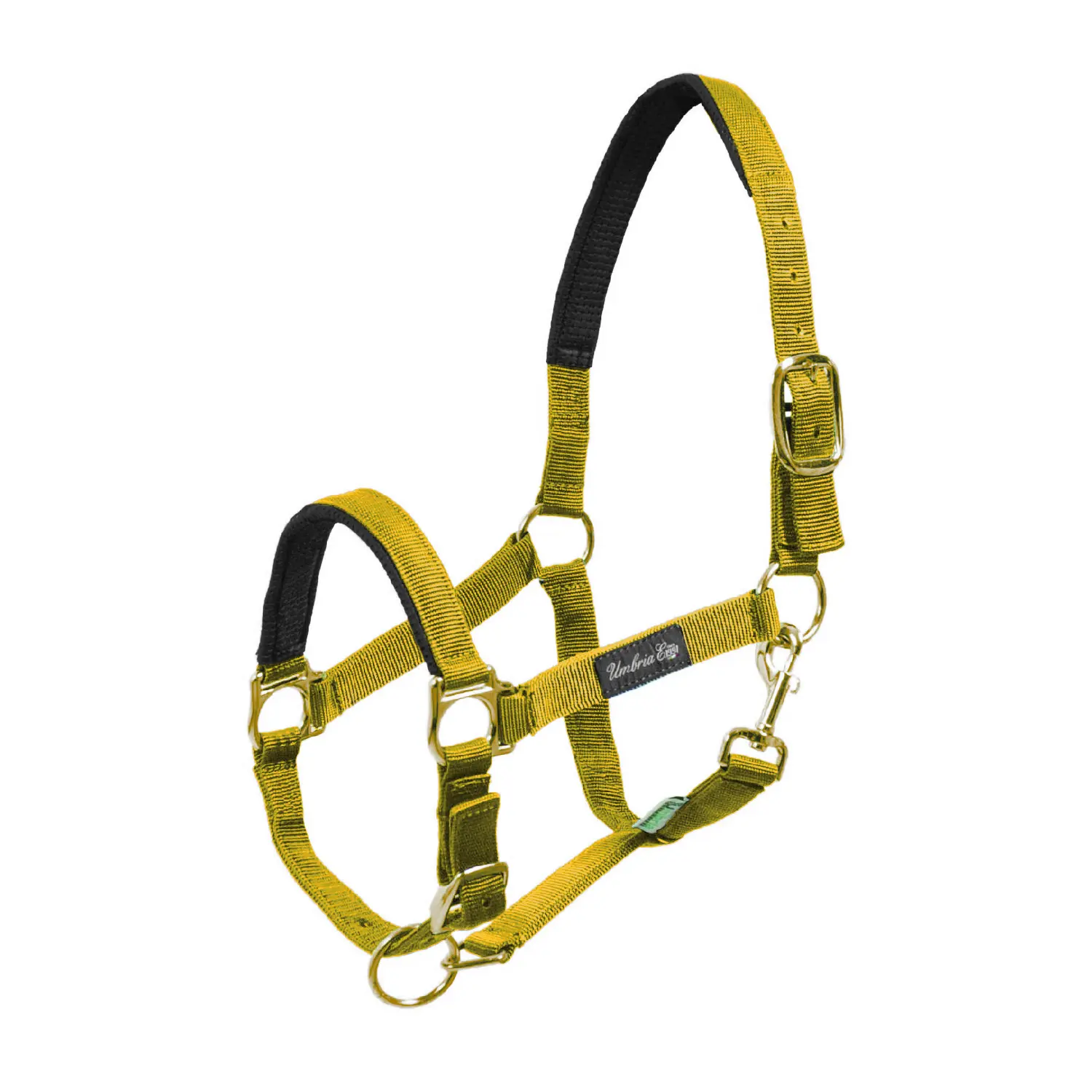 Meilleurs prix pour Licol pour cheval en nylon avec renfort en néoprène Umbria Equitazione