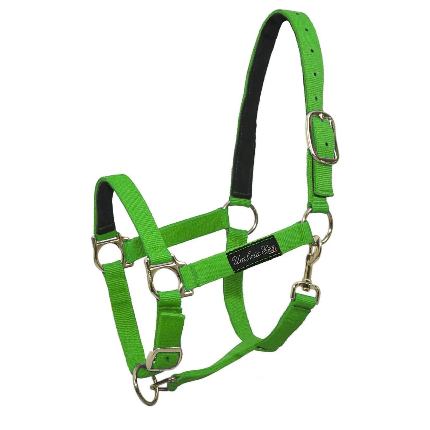 Umbria Equitazione Vert Nylon Horse Halter With Leather Reinforcement