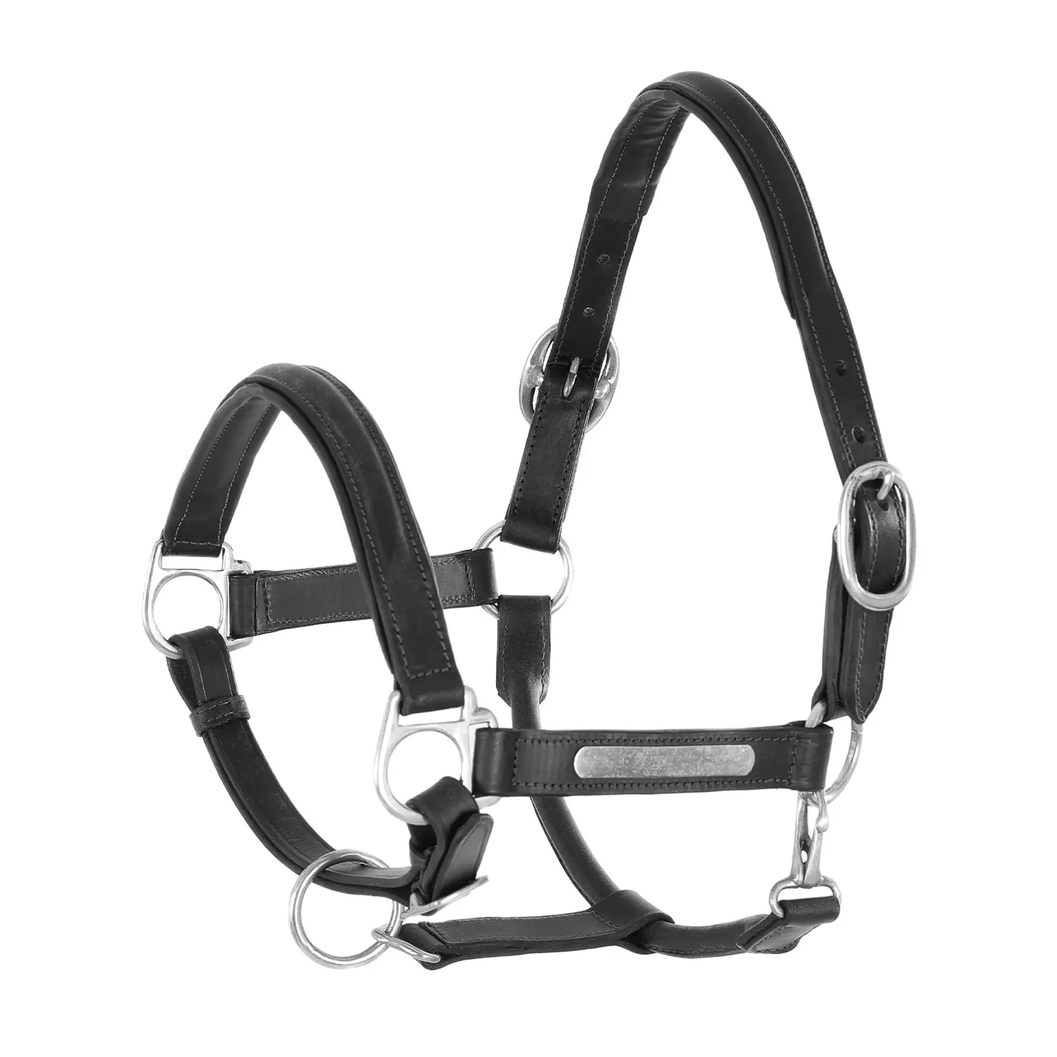 Meilleurs prix pour Licol pour cheval double cuir avec boucles en laiton Umbria Equitazione