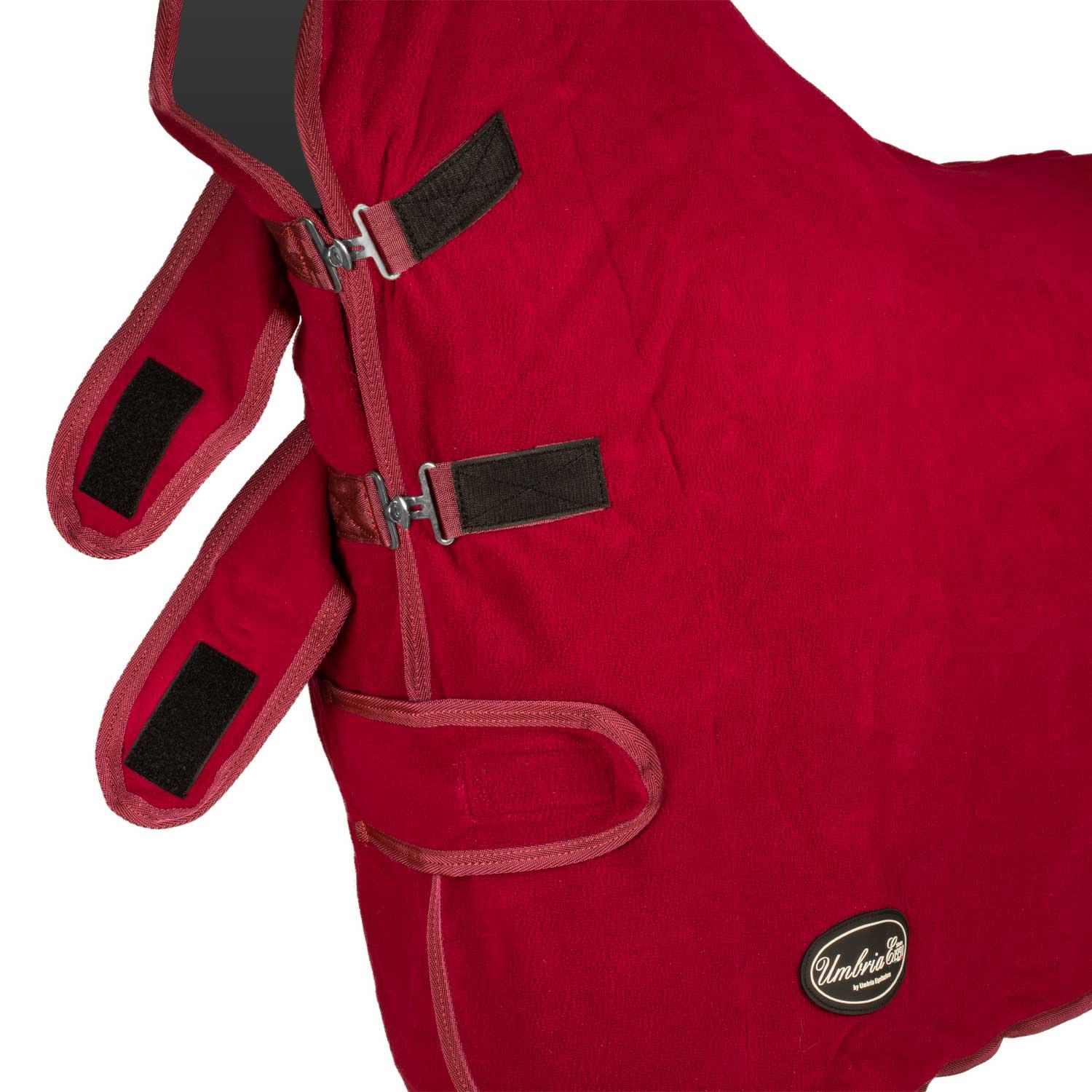 product/u/m/umbria-equitazione_co00053-burgundy_burgundy_4.jpg