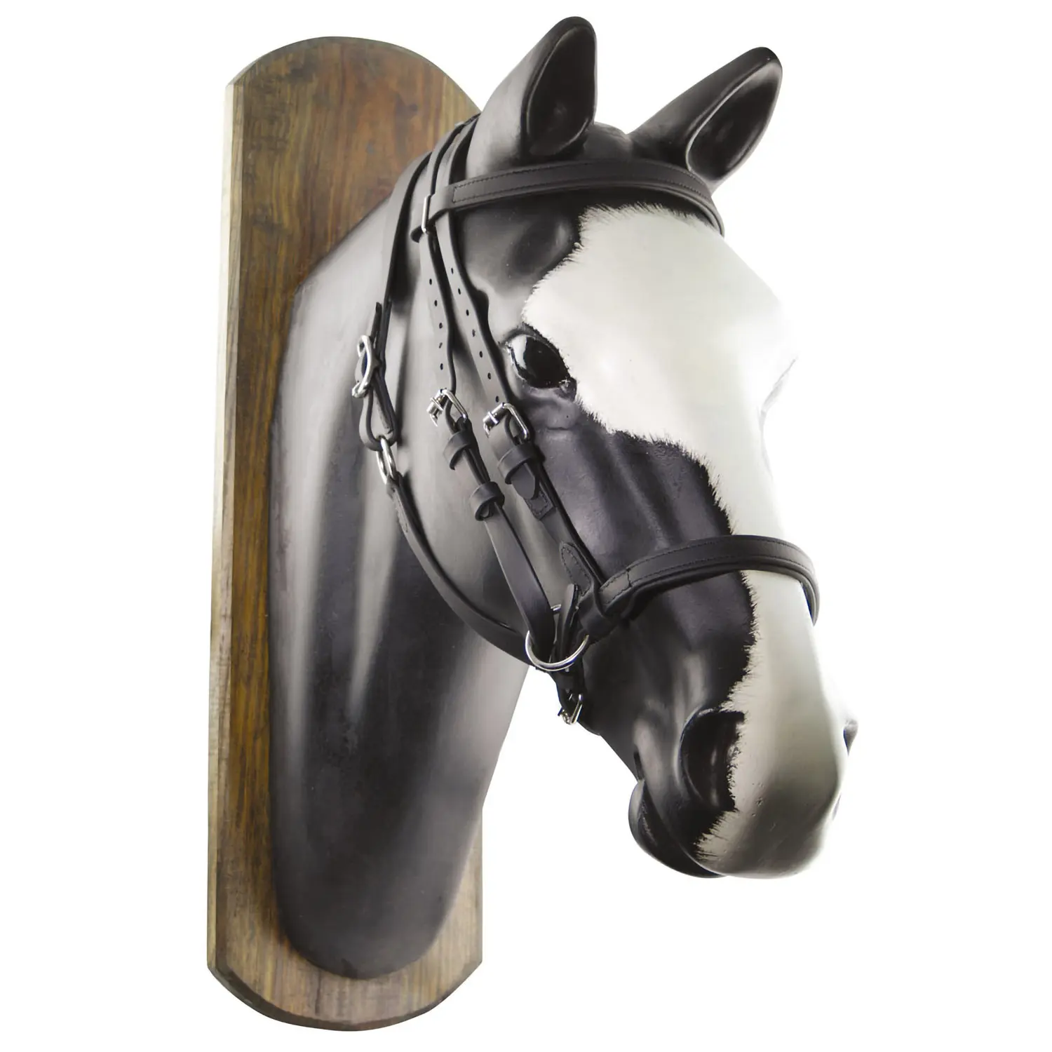 Meilleurs prix pour Bridons équitation pour cheval en biothane Umbria Equitazione