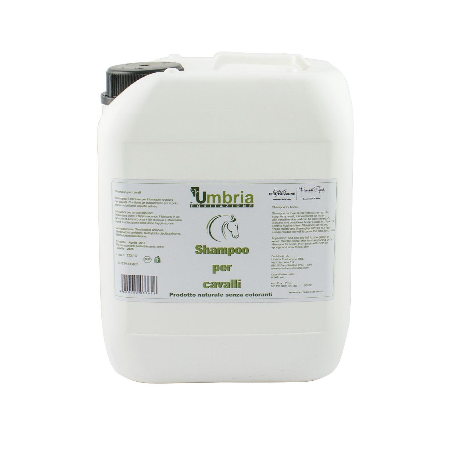 product/u/m/umbria-equitazione_pu00401_white_1.jpg