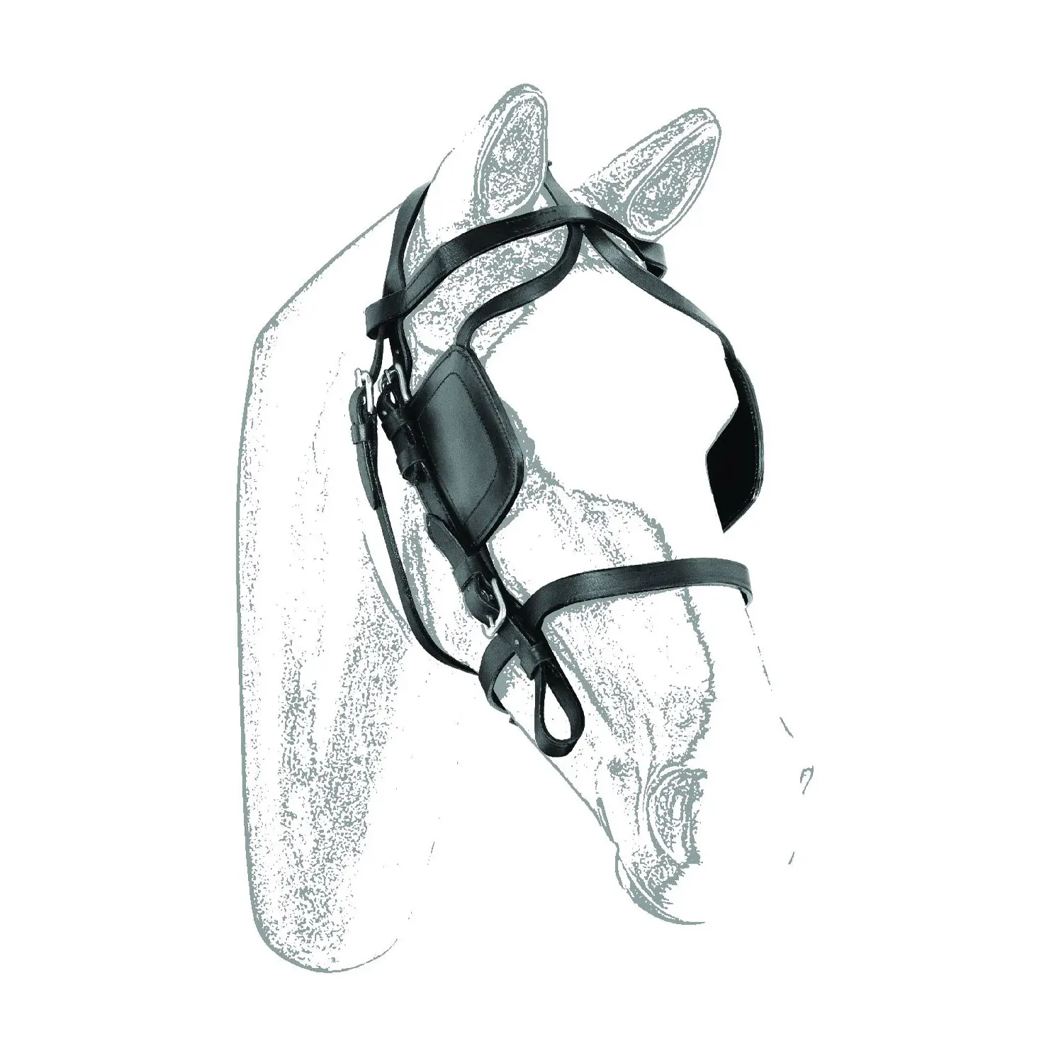 Umbria Equitazione Noir Bridles For Horses