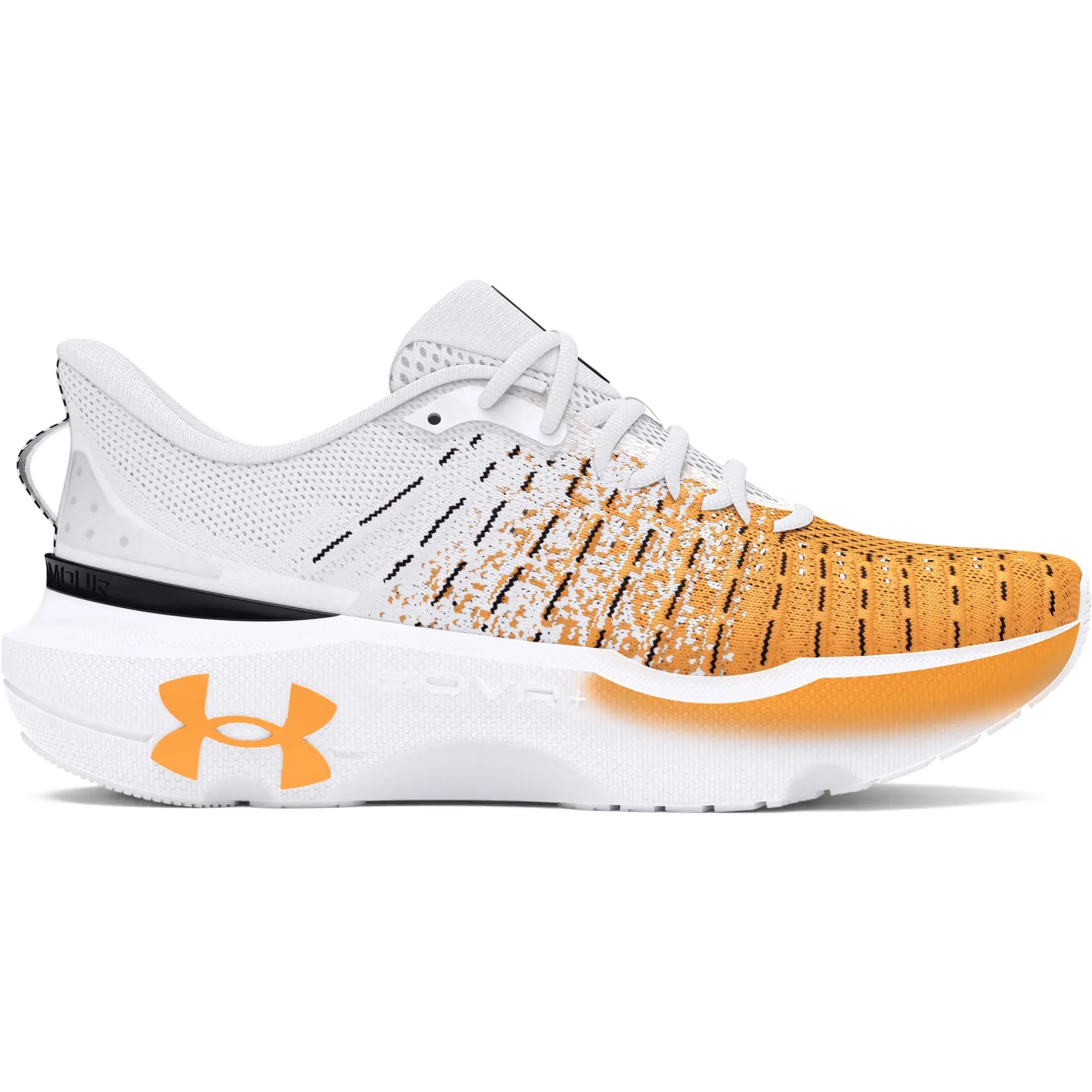 Laufschuhe Under Armour Infinite Elite We Run