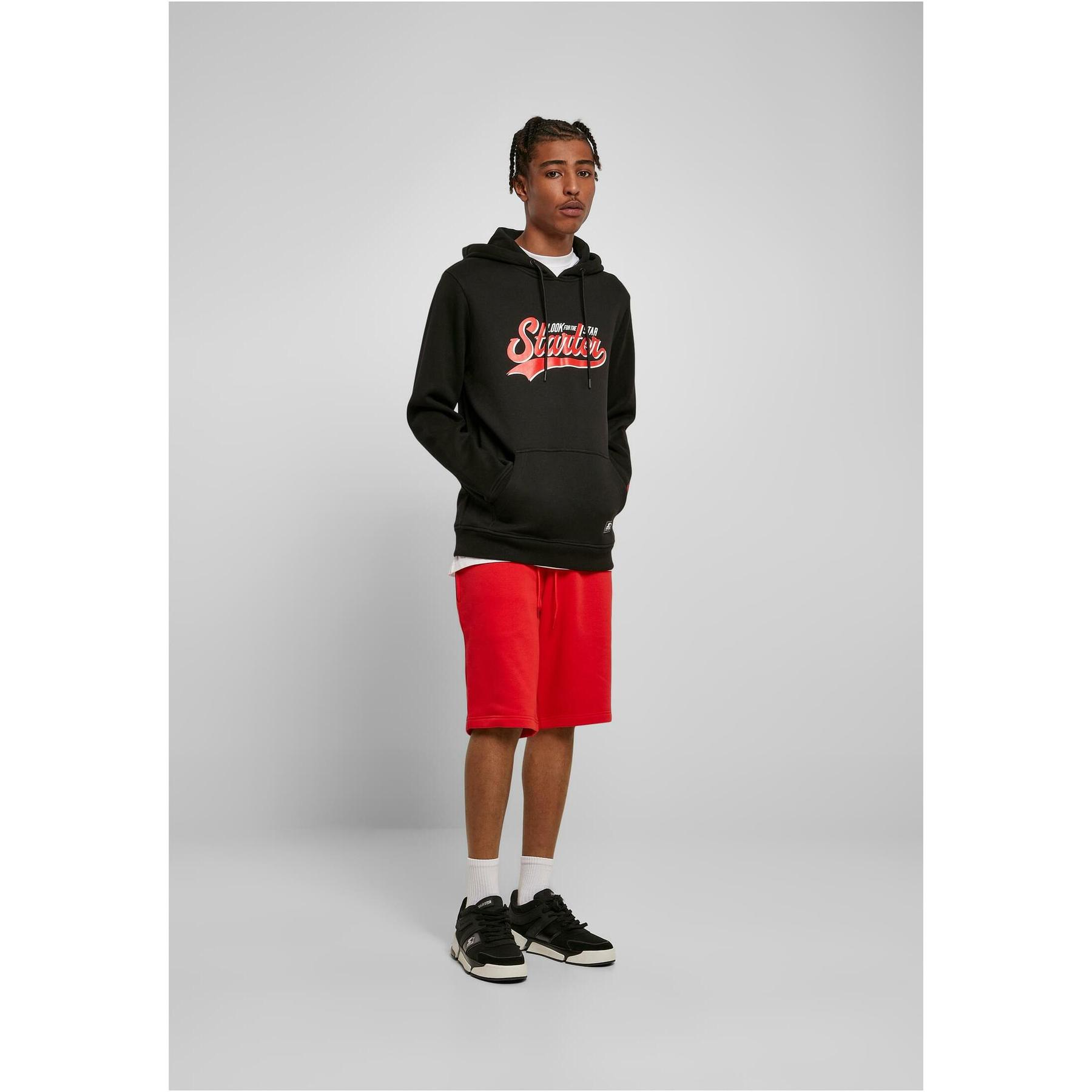 4065812094599 - Kapuzenpullover Starter Swing