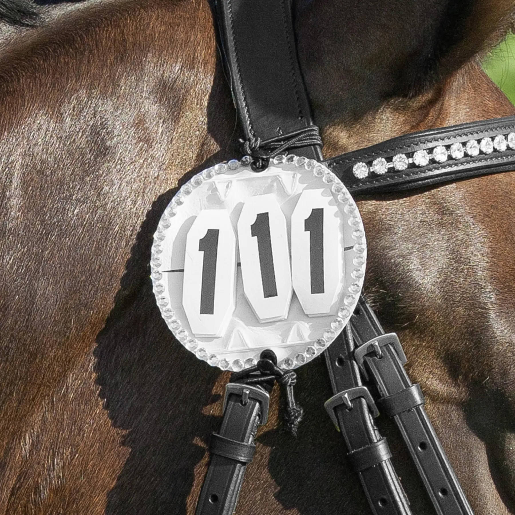 Comparer les prix de Numéro de départ du cheval avec pierres de cristal USG