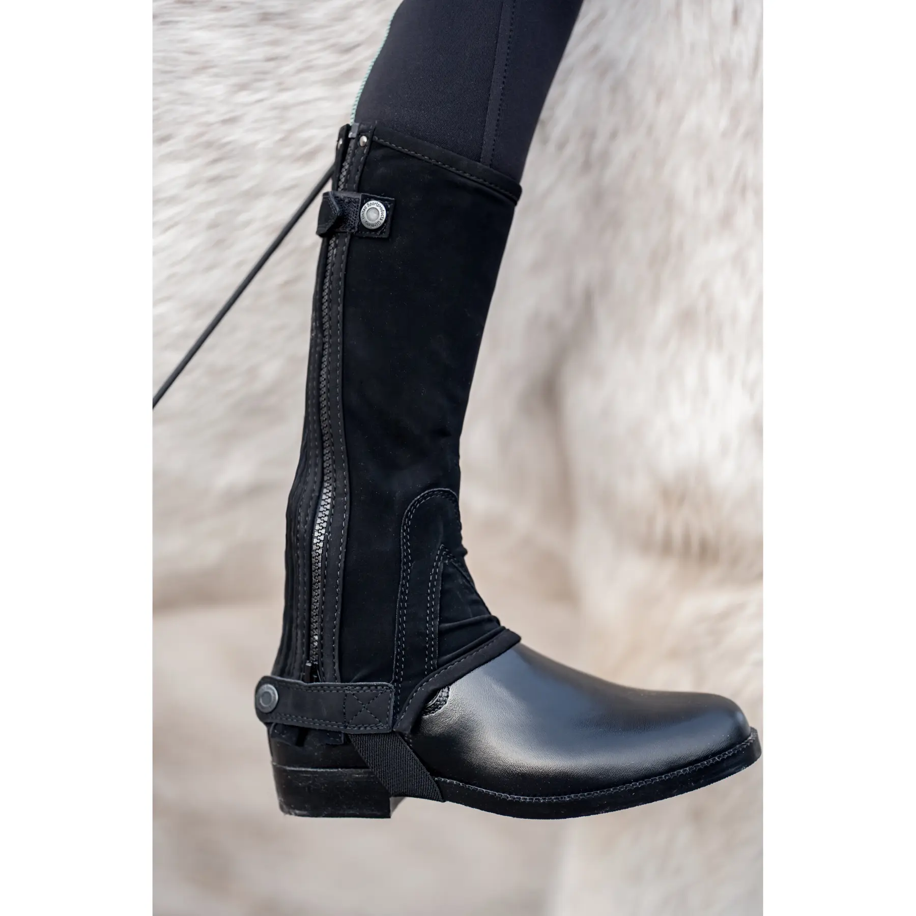 Comparer les prix de Mini-chaps enfant USG Jodhpur Siena