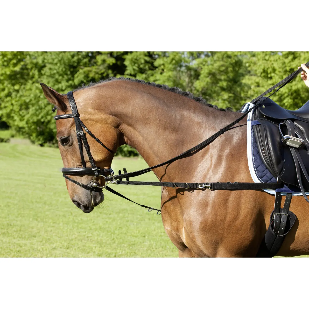 Meilleurs prix pour Rênes pour cheval latérales en nylon USG