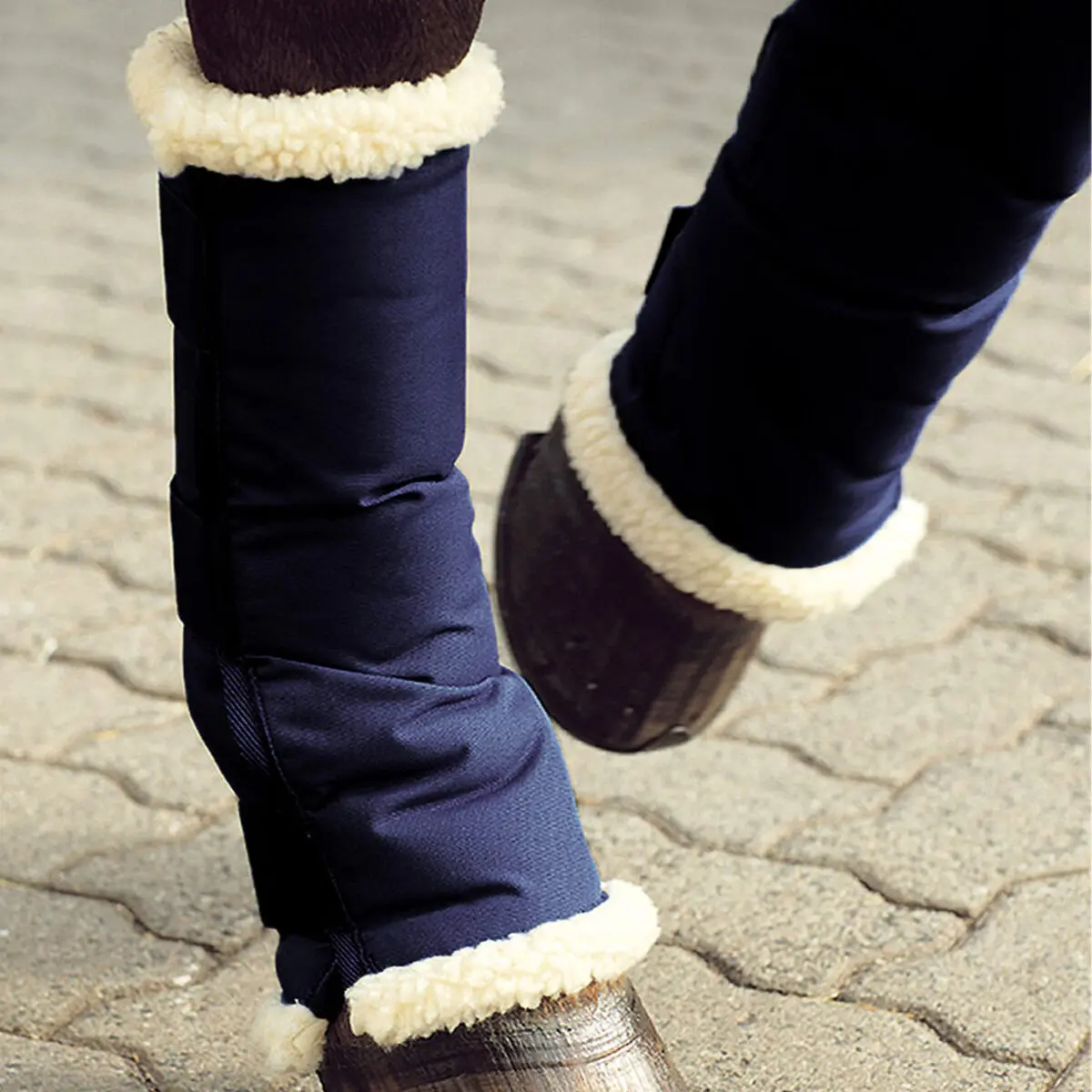 Comparer les prix de Protège-boulets pour cheval USG