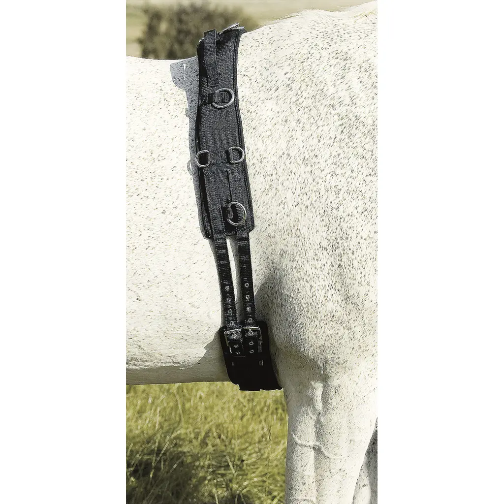 Comparer les prix de Surfaix pour cheval d'entraînement professionnelle USG Breathopren