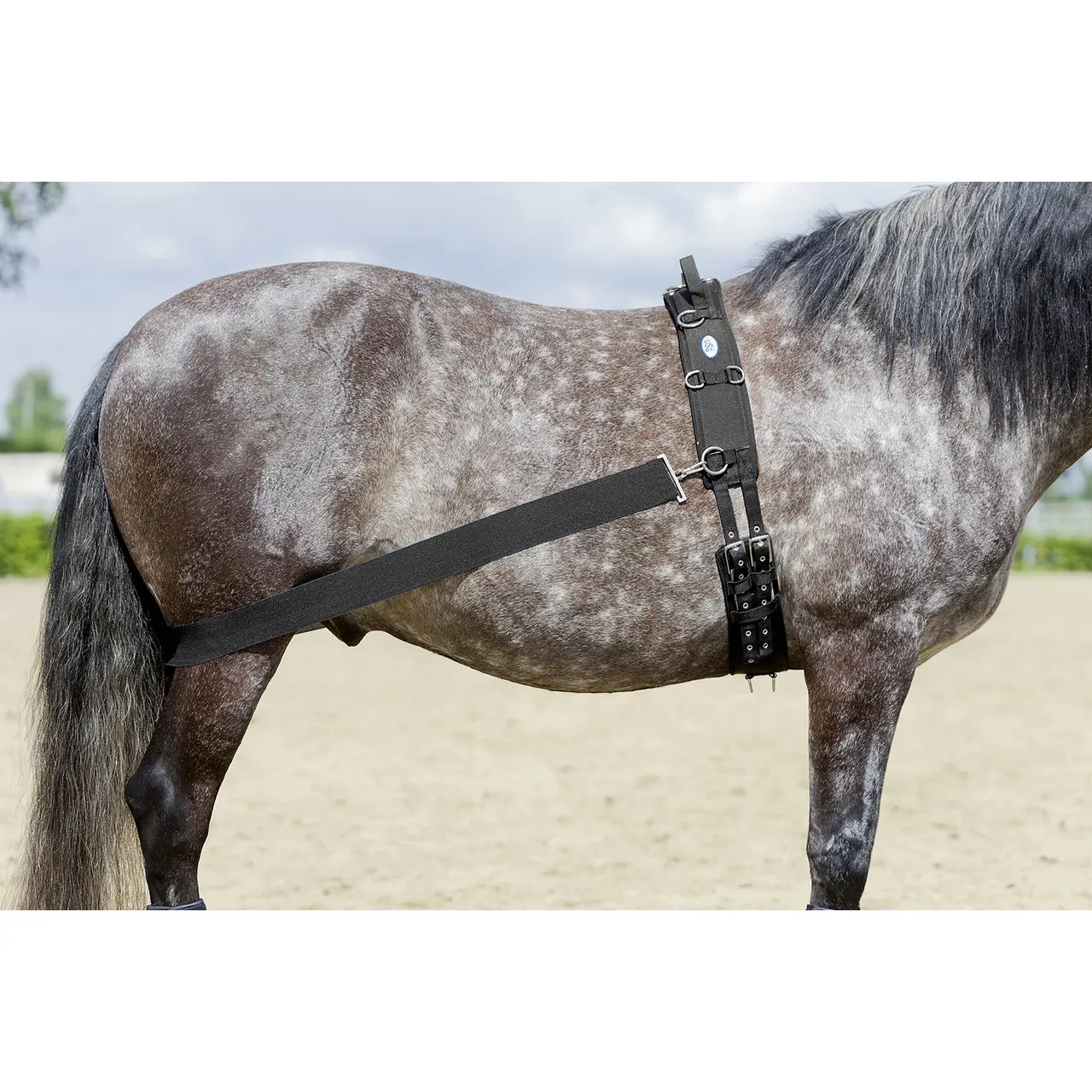 Comparer les prix de Sangle pour cheval USG Lehmann