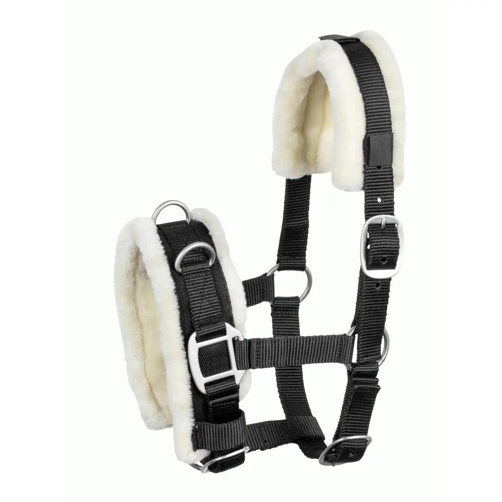 Meilleurs prix pour Caveçon pour cheval nylon avec fourrure artificielle USG