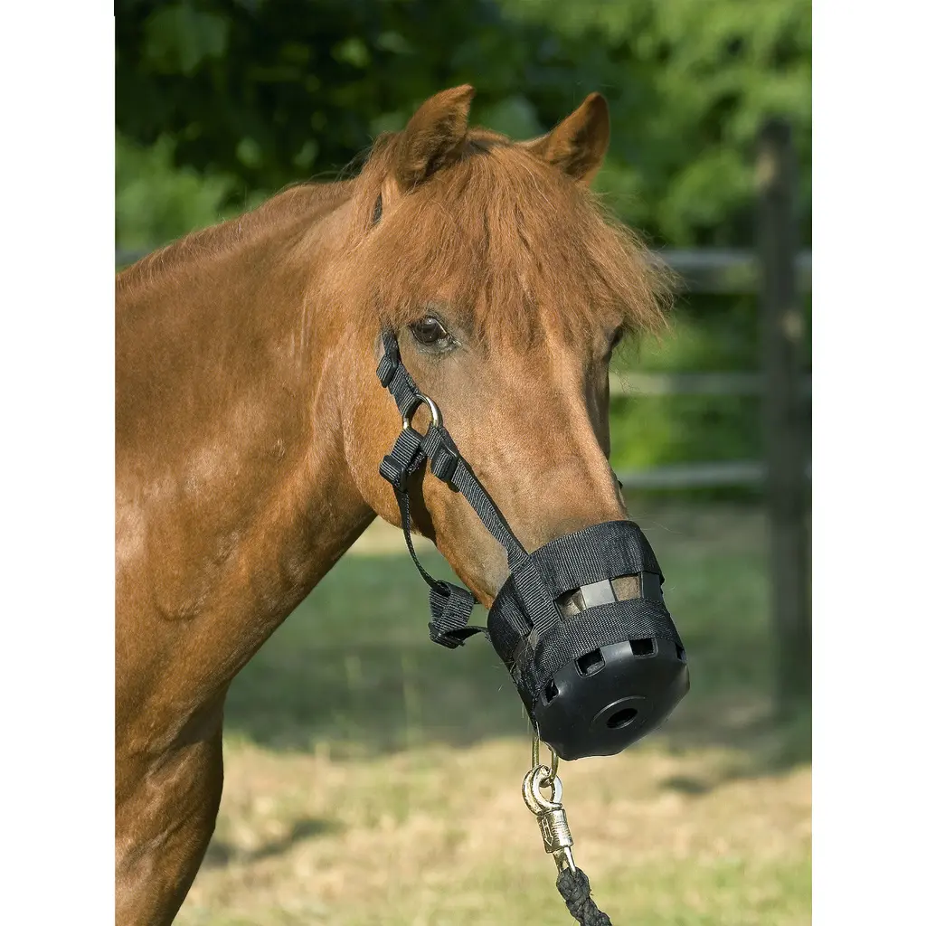 Muselière pour cheval en polyamide avec caoutchouc et sangles USG