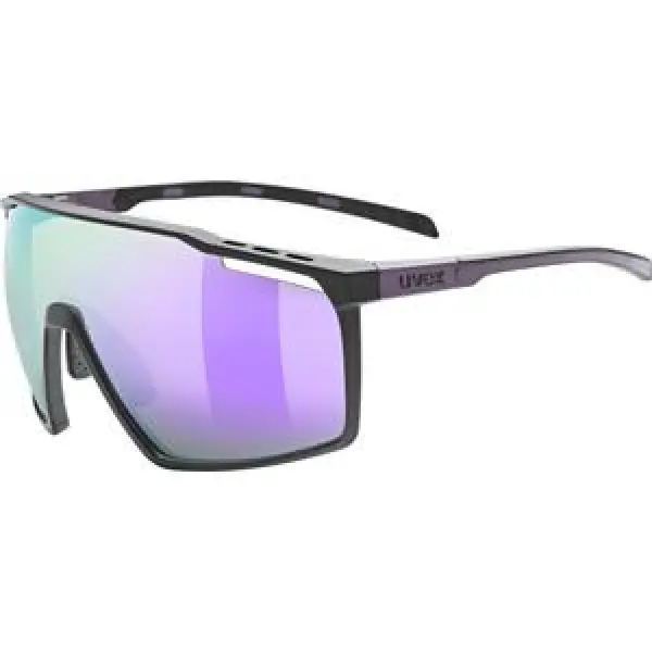 Sonnenbrille Uvex Perform