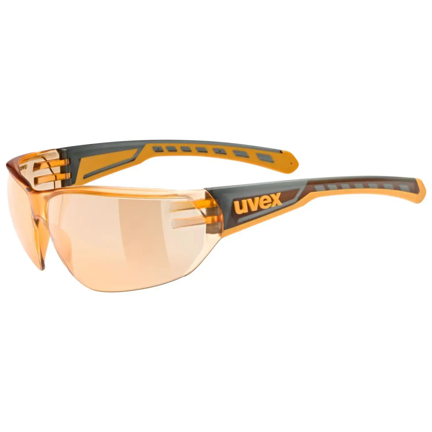 Brillen Uvex Equate