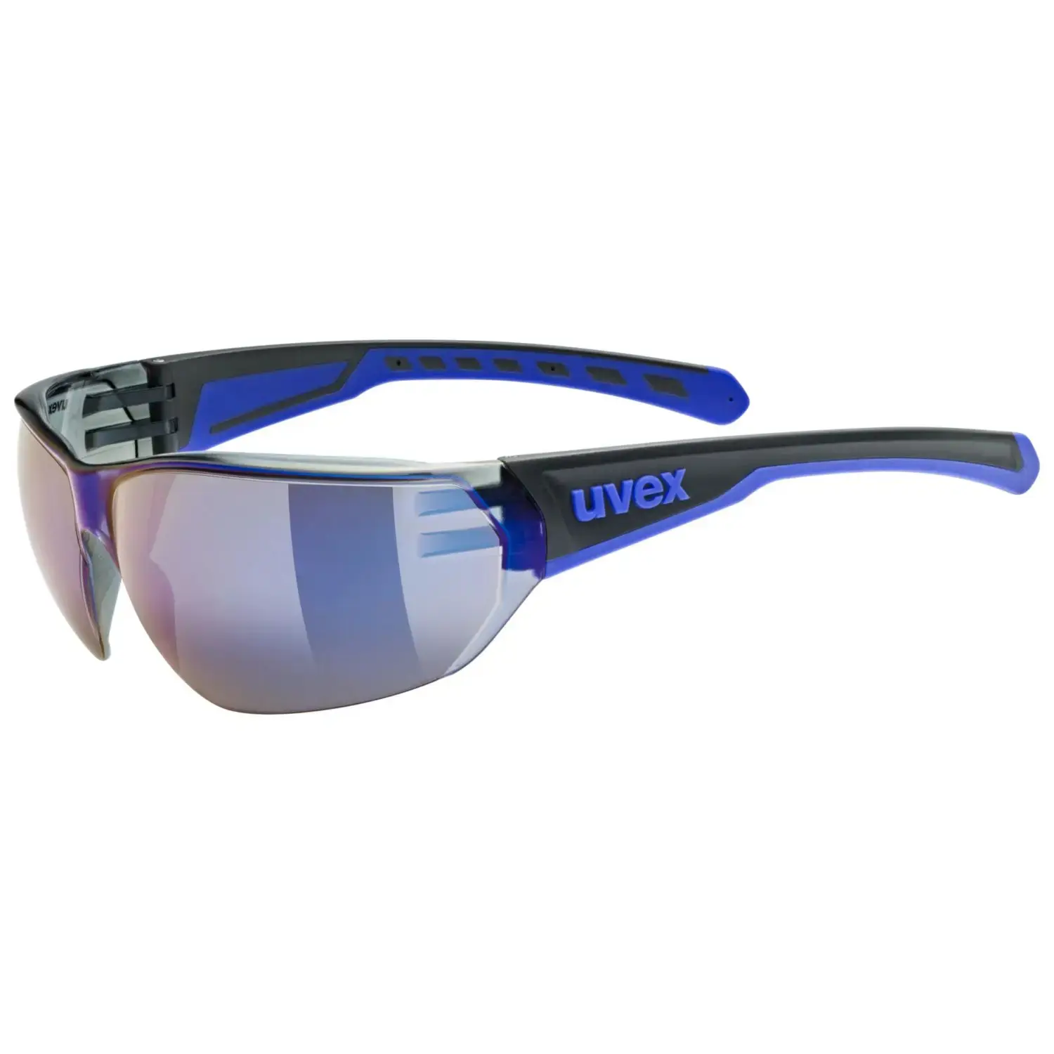 Brillen Uvex Equate