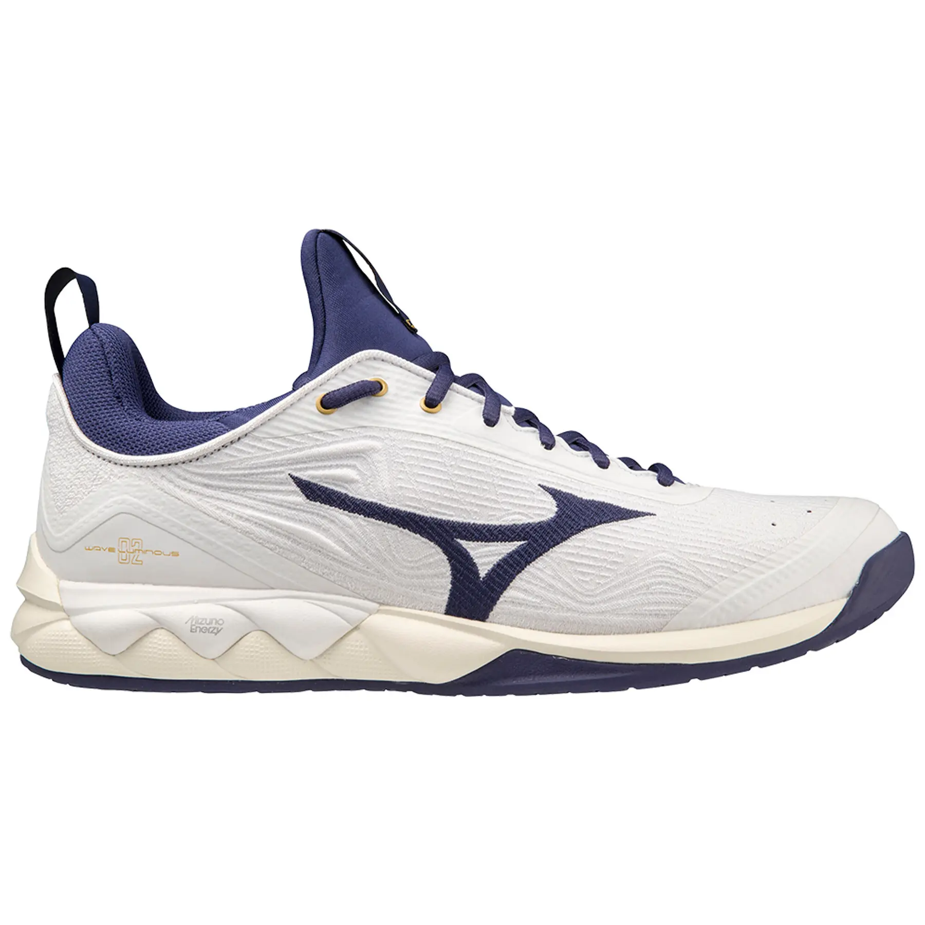 Hallenschuhe Mizuno Wave Luminous