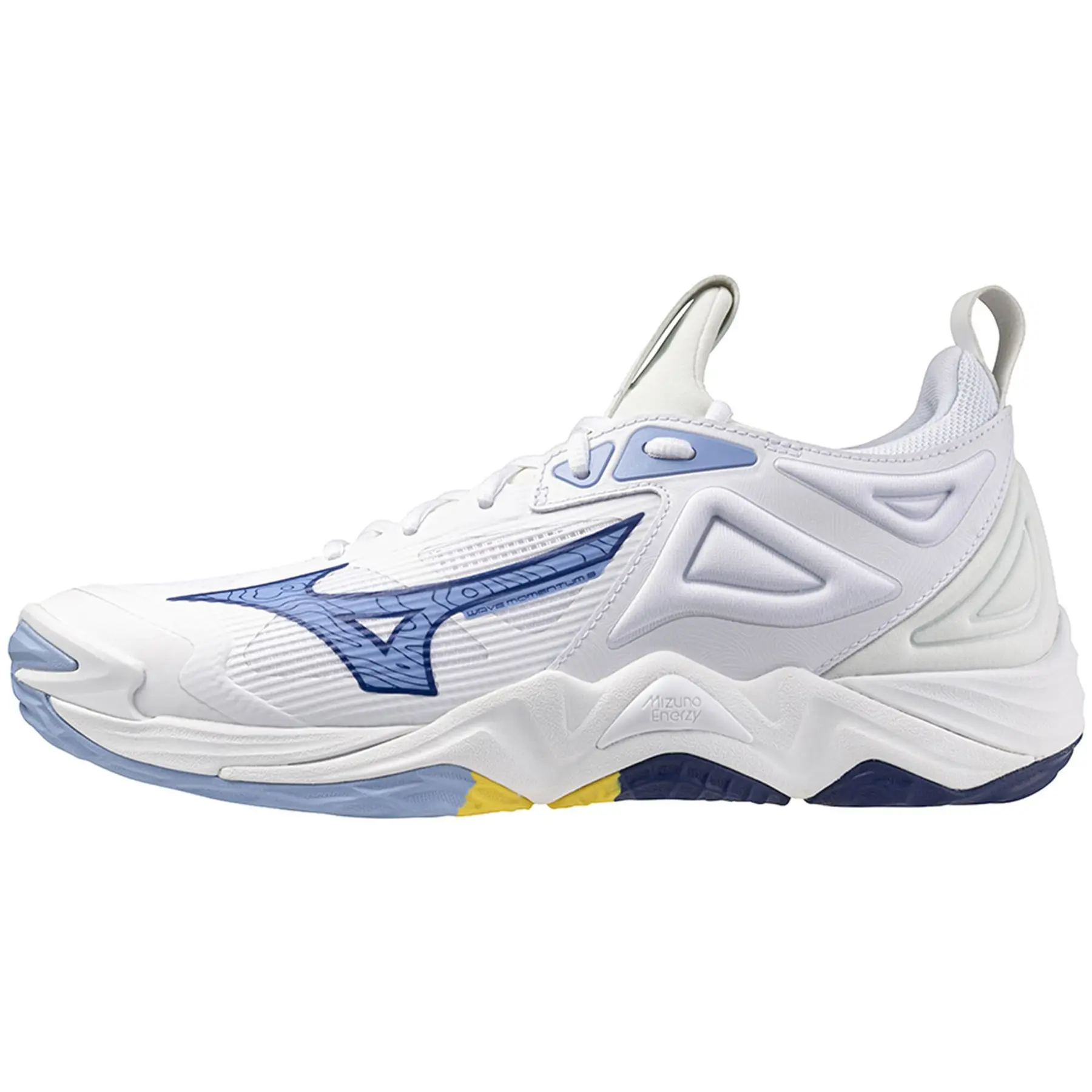 Hallenschuhe Mizuno Wave Momentum