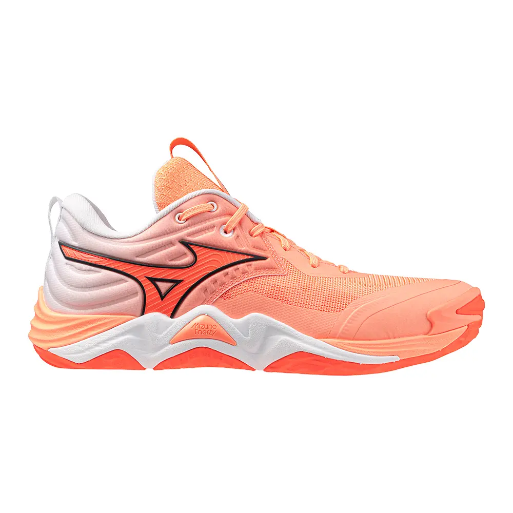 シューズ Mizuno WAVE MOMENTUM ELITE 25cm Indoor Shoes Mizuno Wave Momentum Elite | Direct-Volley