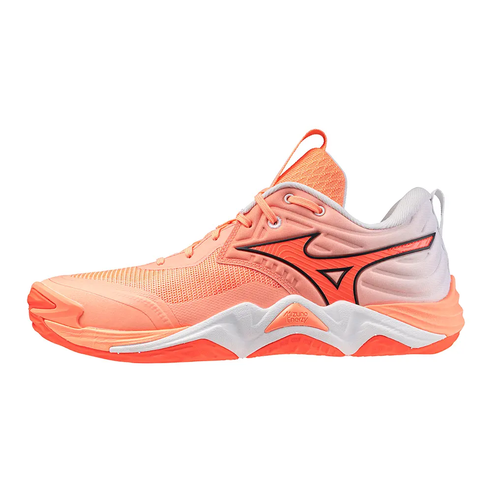 Indoor Shoes Mizuno Wave Momentum Elite | Direct-Volley