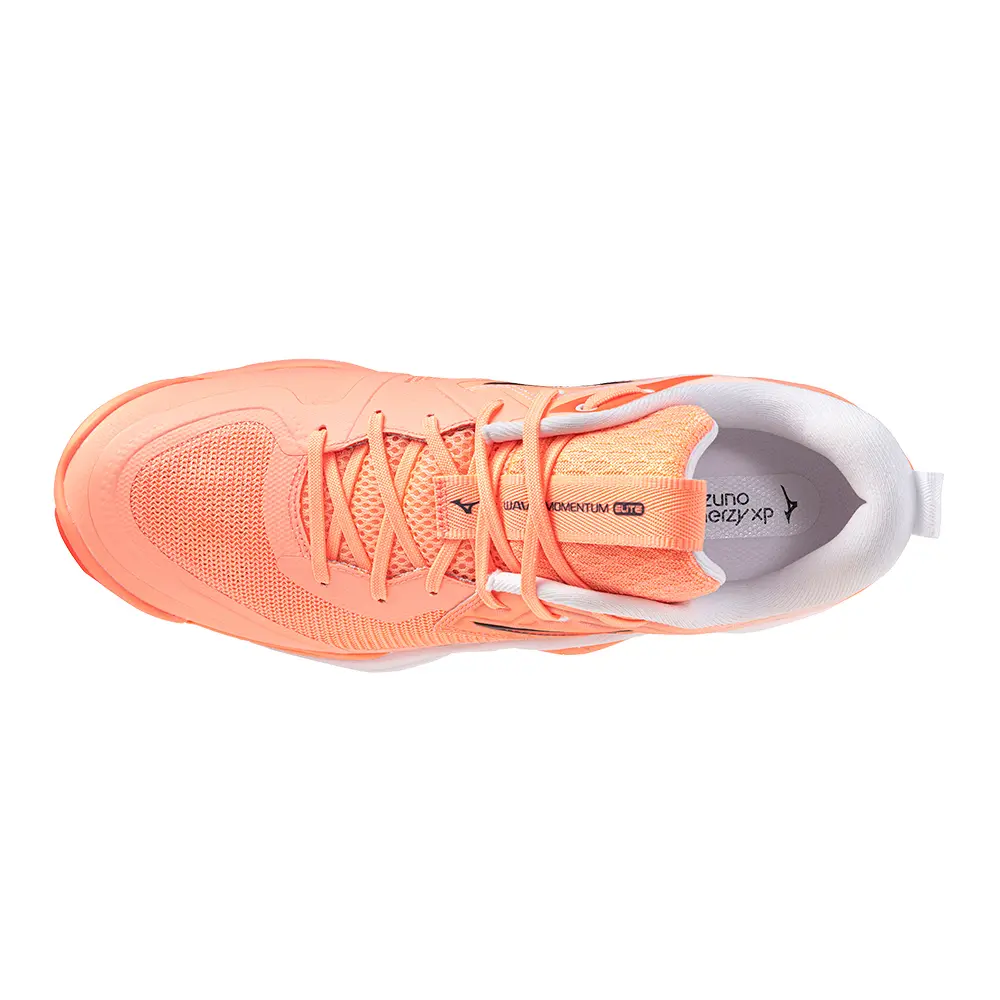 Indoor Shoes Mizuno Wave Momentum Elite | Handball-Store
