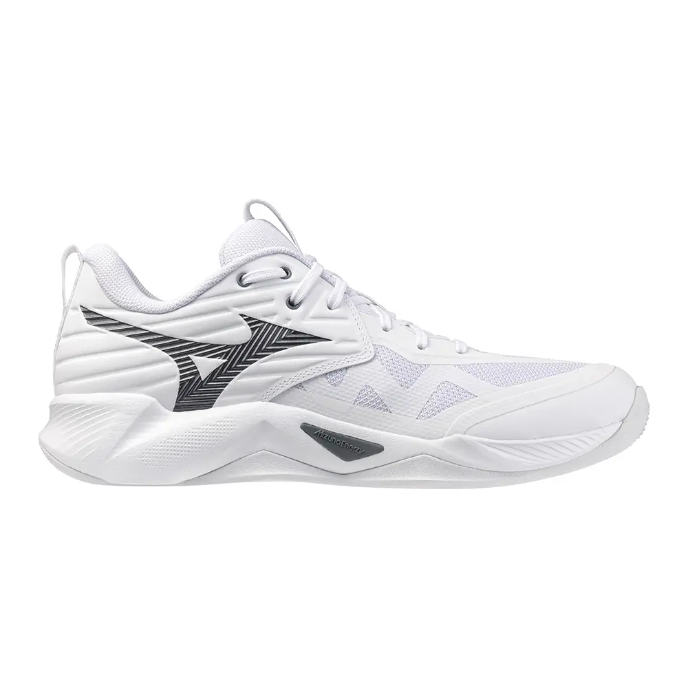 Hallenschuhe Mizuno Wave Momentum Pro